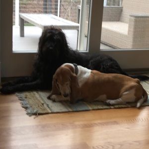 Meet your Posher, Wendy